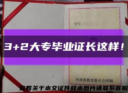 3+2大專畢業證長這樣！縮略圖