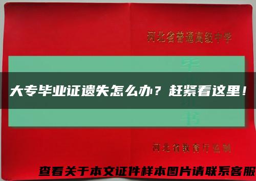大專畢業證遺失怎么辦？趕緊看這里！縮略圖