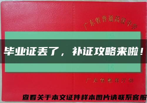 畢業證丟了，補證攻略來啦！縮略圖
