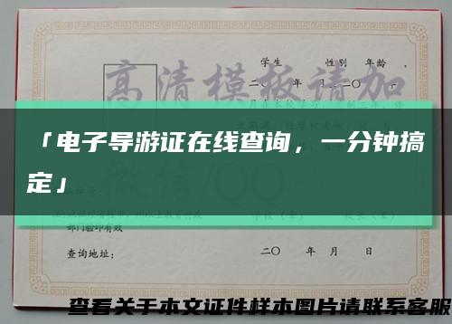 「電子導游證在線查詢，一分鐘搞定」縮略圖
