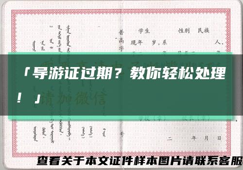 「導游證過期？教你輕松處理！」縮略圖