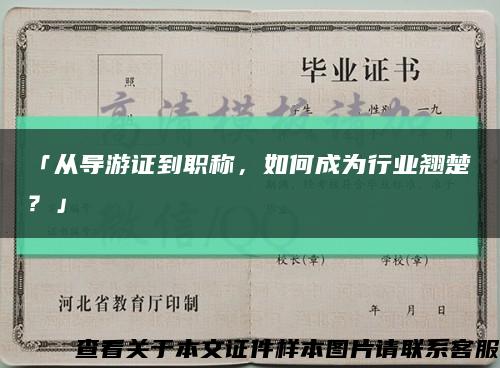 「從導游證到職稱，如何成為行業翹楚？」縮略圖