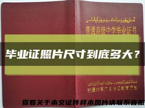 畢業證照片尺寸到底多大？縮略圖