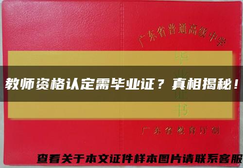 教師資格認定需畢業證？真相揭秘！縮略圖