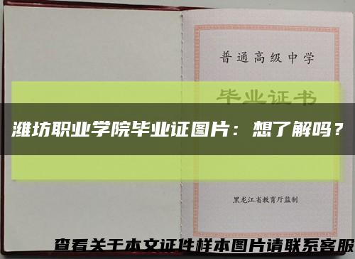濰坊職業學院畢業證圖片：想了解嗎？縮略圖