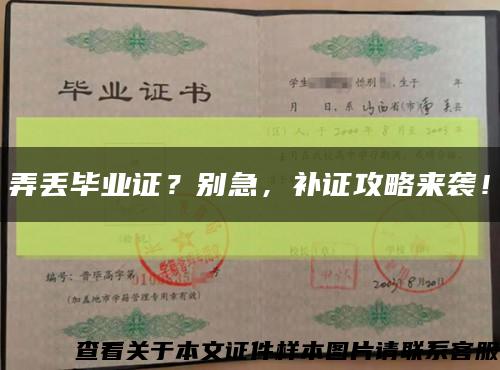 弄丟畢業證？別急，補證攻略來襲！縮略圖