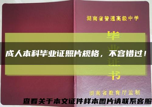 成人本科畢業證照片規格，不容錯過！縮略圖