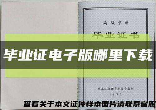 畢業證電子版哪里下載縮略圖