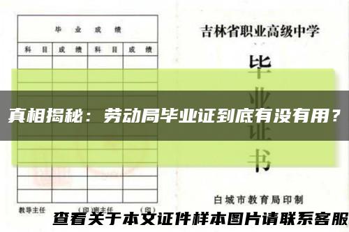 真相揭秘：勞動局畢業證到底有沒有用？縮略圖