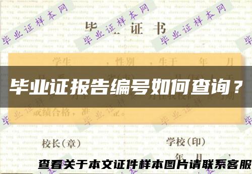 畢業證報告編號如何查詢？縮略圖