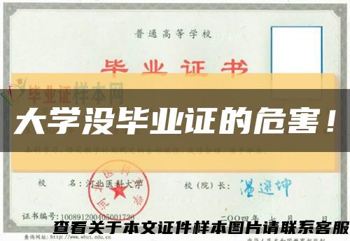 大學沒畢業證的危害！縮略圖
