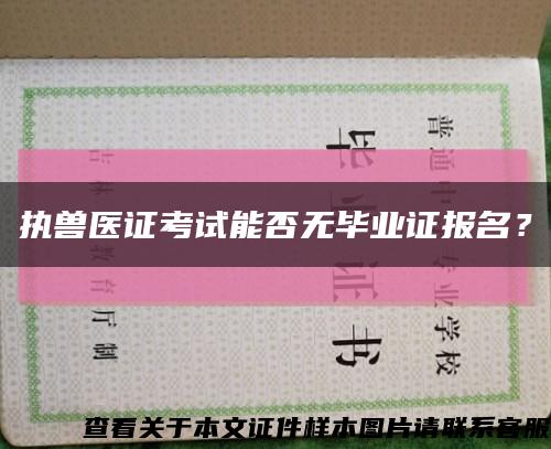 執獸醫證考試能否無畢業證報名？縮略圖