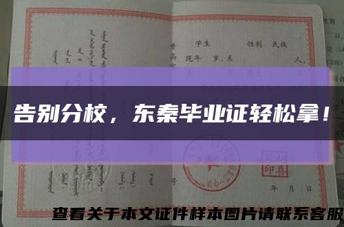 告別分校，東秦畢業證輕松拿！縮略圖