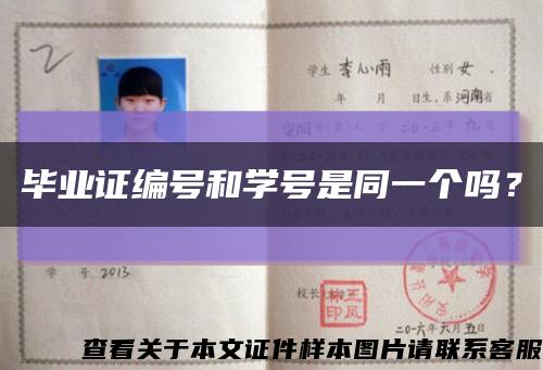 畢業證編號和學號是同一個嗎？縮略圖