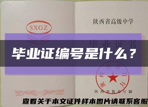 畢業證編號是什么？縮略圖