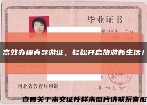 高效辦理真導游證，輕松開啟旅游新生活！縮略圖