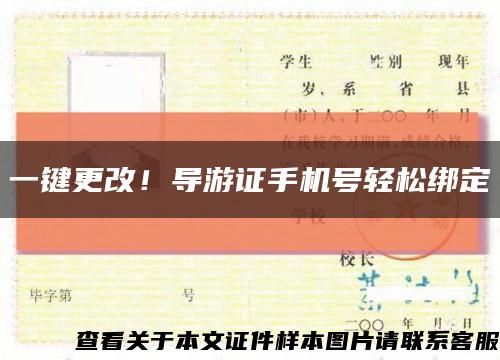 一鍵更改！導游證手機號輕松綁定縮略圖