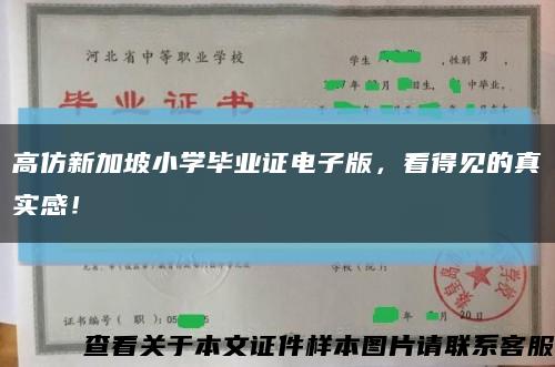 高仿新加坡小學畢業證電子版，看得見的真實感！縮略圖
