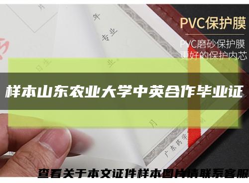 樣本山東農業大學中英合作畢業證縮略圖