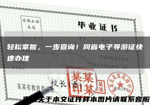 輕松掌握，一步查詢！同省電子導游證快速辦理縮略圖