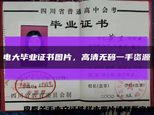 電大畢業證書圖片，高清無碼一手資源縮略圖