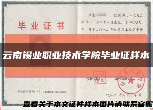 云南錫業職業技術學院畢業證樣本縮略圖