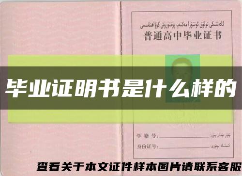 畢業證明書是什么樣的縮略圖