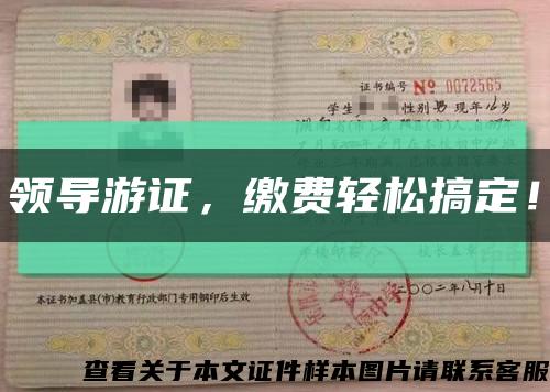 領導游證，繳費輕松搞定！縮略圖