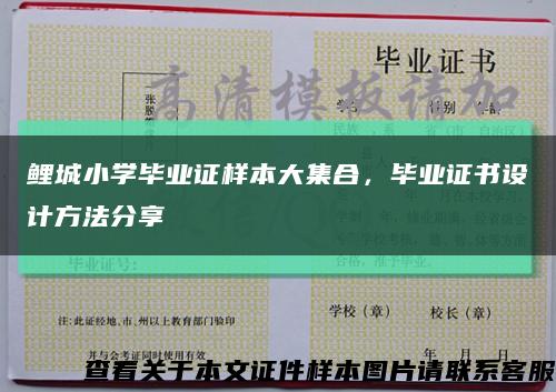 鯉城小學畢業證樣本大集合，畢業證書設計方法分享縮略圖