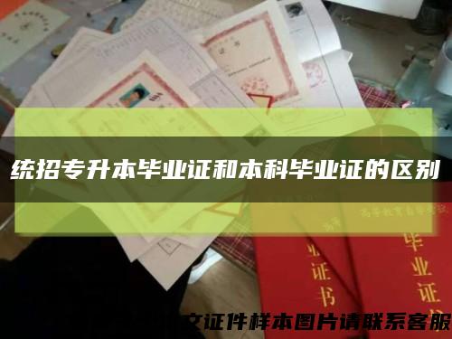統招專升本畢業證和本科畢業證的區別縮略圖