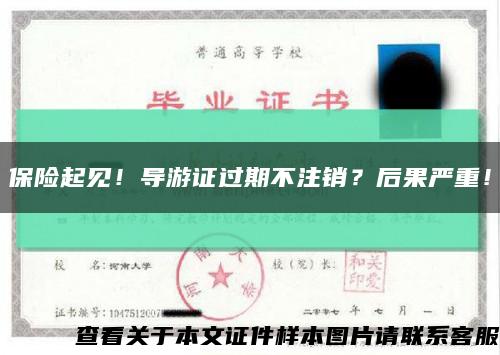 保險起見！導游證過期不注銷？后果嚴重！縮略圖