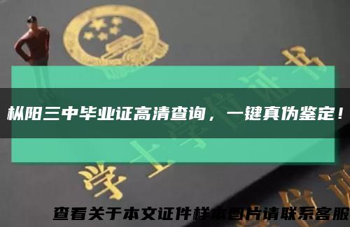 樅陽三中畢業證高清查詢，一鍵真偽鑒定！縮略圖
