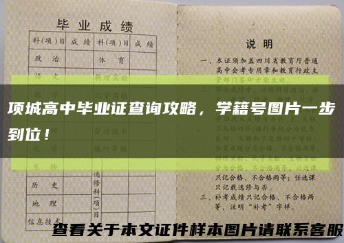 項城高中畢業證查詢攻略，學籍號圖片一步到位！縮略圖
