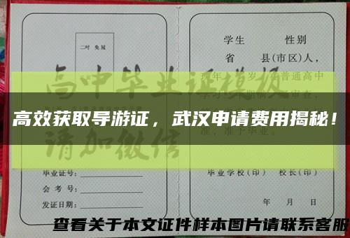 高效獲取導游證，武漢申請費用揭秘！縮略圖