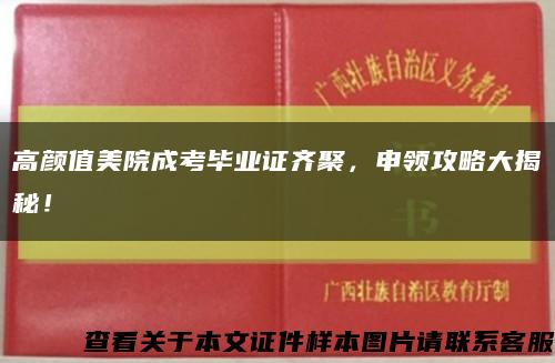 高顏值美院成考畢業證齊聚，申領攻略大揭秘！縮略圖