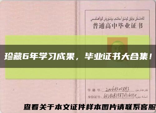 珍藏6年學習成果，畢業證書大合集！縮略圖