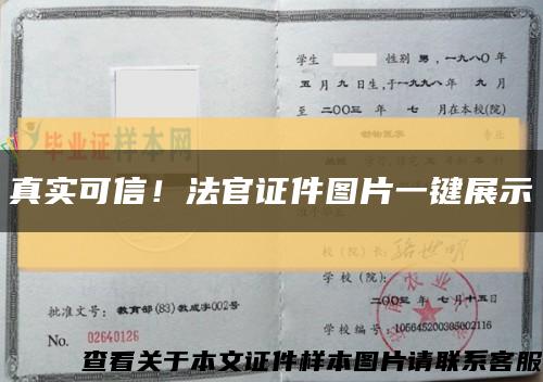 真實可信！法官證件圖片一鍵展示縮略圖