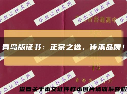 青島版證書：正宗之選，傳承品質！縮略圖