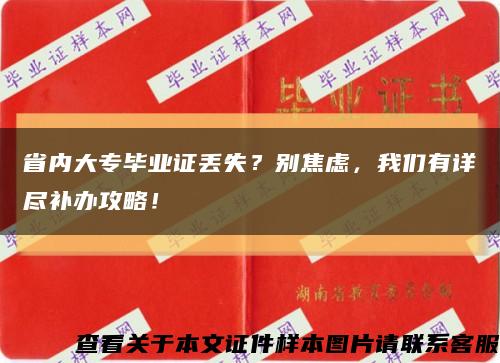 省內大專畢業證丟失？別焦慮，我們有詳盡補辦攻略！縮略圖