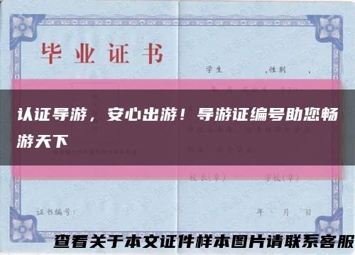 認證導游，安心出游！導游證編號助您暢游天下縮略圖