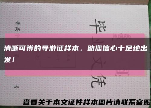 清晰可辨的導游證樣本，助您信心十足地出發！縮略圖