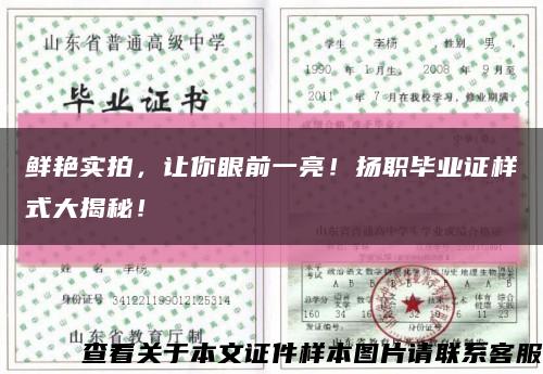 鮮艷實拍，讓你眼前一亮！揚職畢業證樣式大揭秘！縮略圖