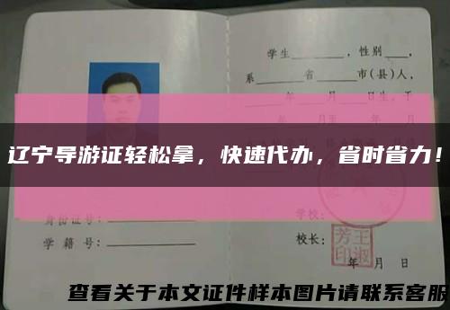 遼寧導游證輕松拿，快速代辦，省時省力！縮略圖