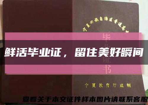 鮮活畢業證，留住美好瞬間縮略圖