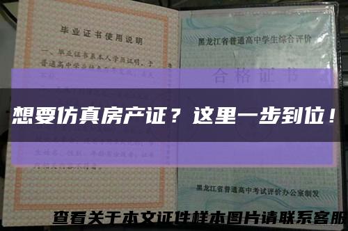 想要仿真房產證？這里一步到位！縮略圖