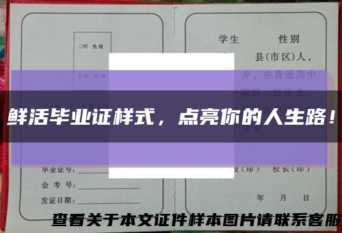 鮮活畢業證樣式，點亮你的人生路！縮略圖