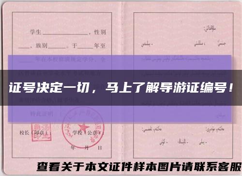 證號決定一切，馬上了解導游證編號！縮略圖