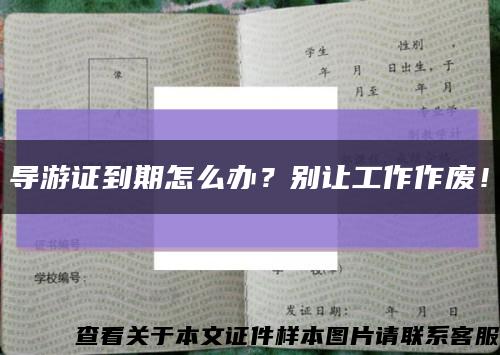 導游證到期怎么辦？別讓工作作廢！縮略圖