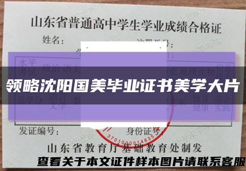領略沈陽國美畢業證書美學大片縮略圖