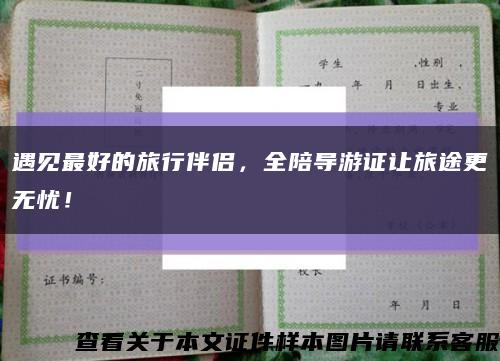 遇見最好的旅行伴侶，全陪導游證讓旅途更無憂！縮略圖